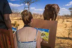 Elephant art experience