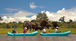 Victoria Falls activities and attractions - canoeing on the Zambezi