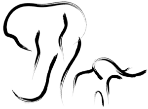 The Elephant Camo logo