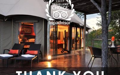 The Elephant Camp – Trip Advisor Travellers’ Choice Awards in 2017