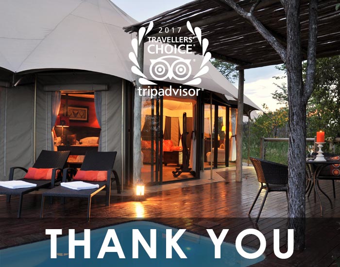 The Elephant Camp – Trip Advisor Travellers’ Choice Awards in 2017