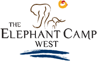 The Elephant Camp West in Victoria Falls