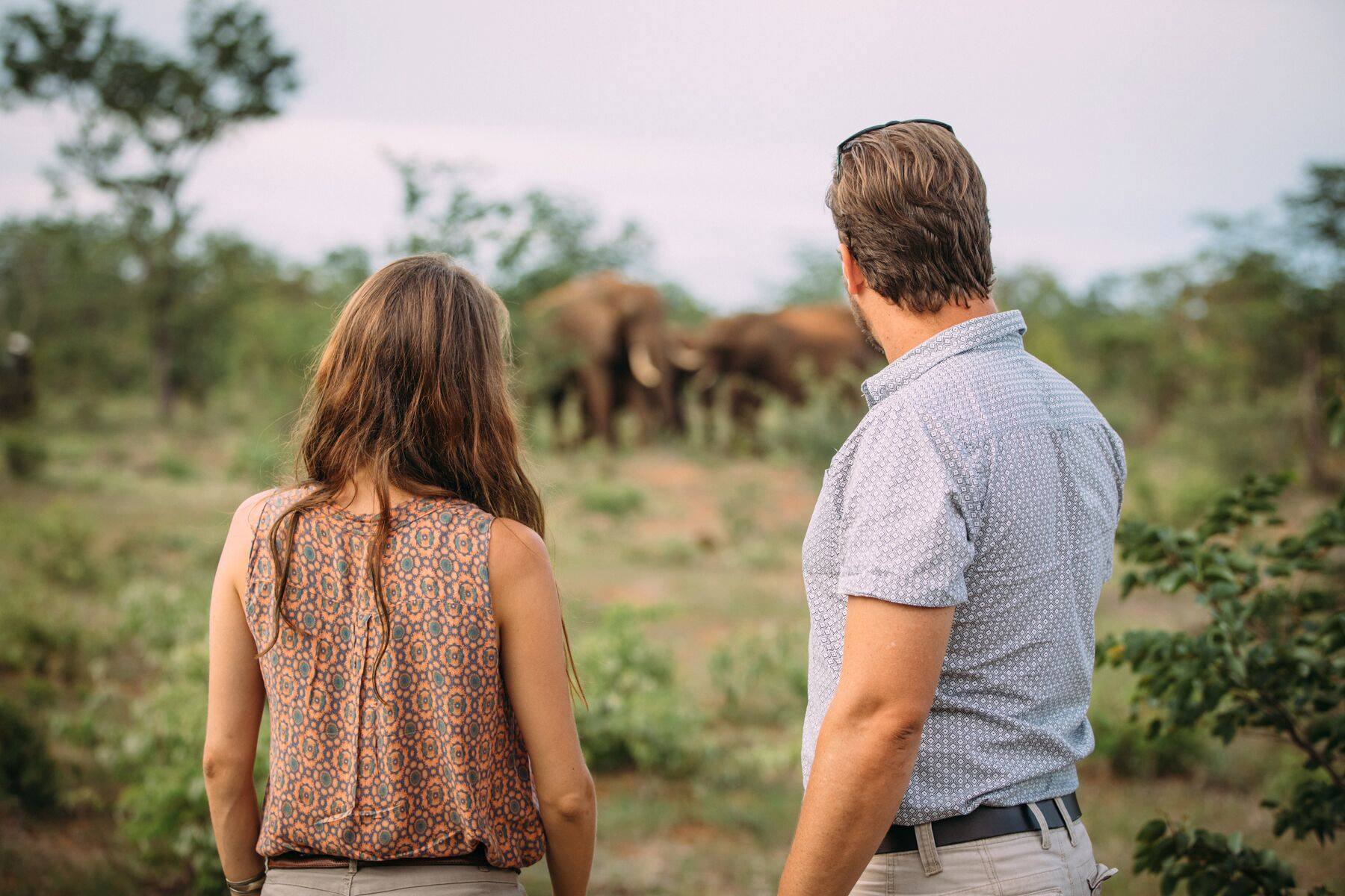 elephant-encounter-nature